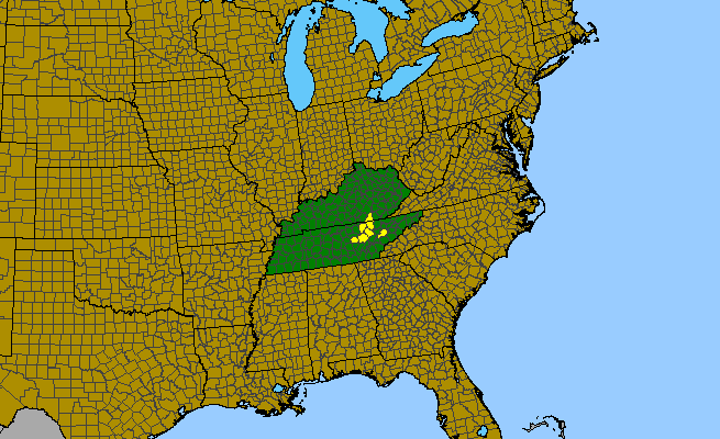 The range of Conradina verticillata